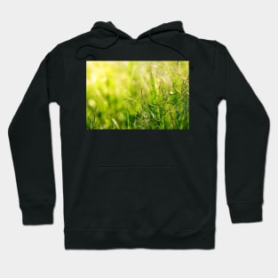 Green grass meadow with a touch of yellow sunbeams Hoodie